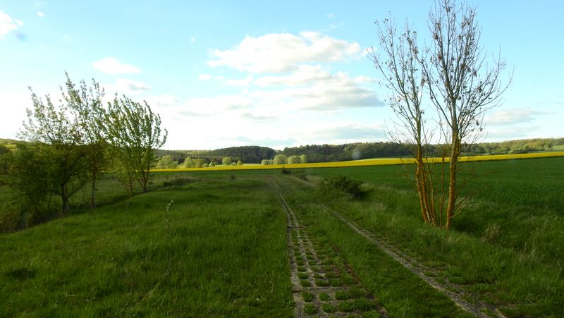 Kolonnenweg an der ehemaligen innerdeutschen Grenze